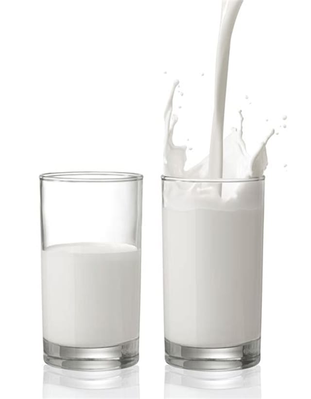 Milk 16oz